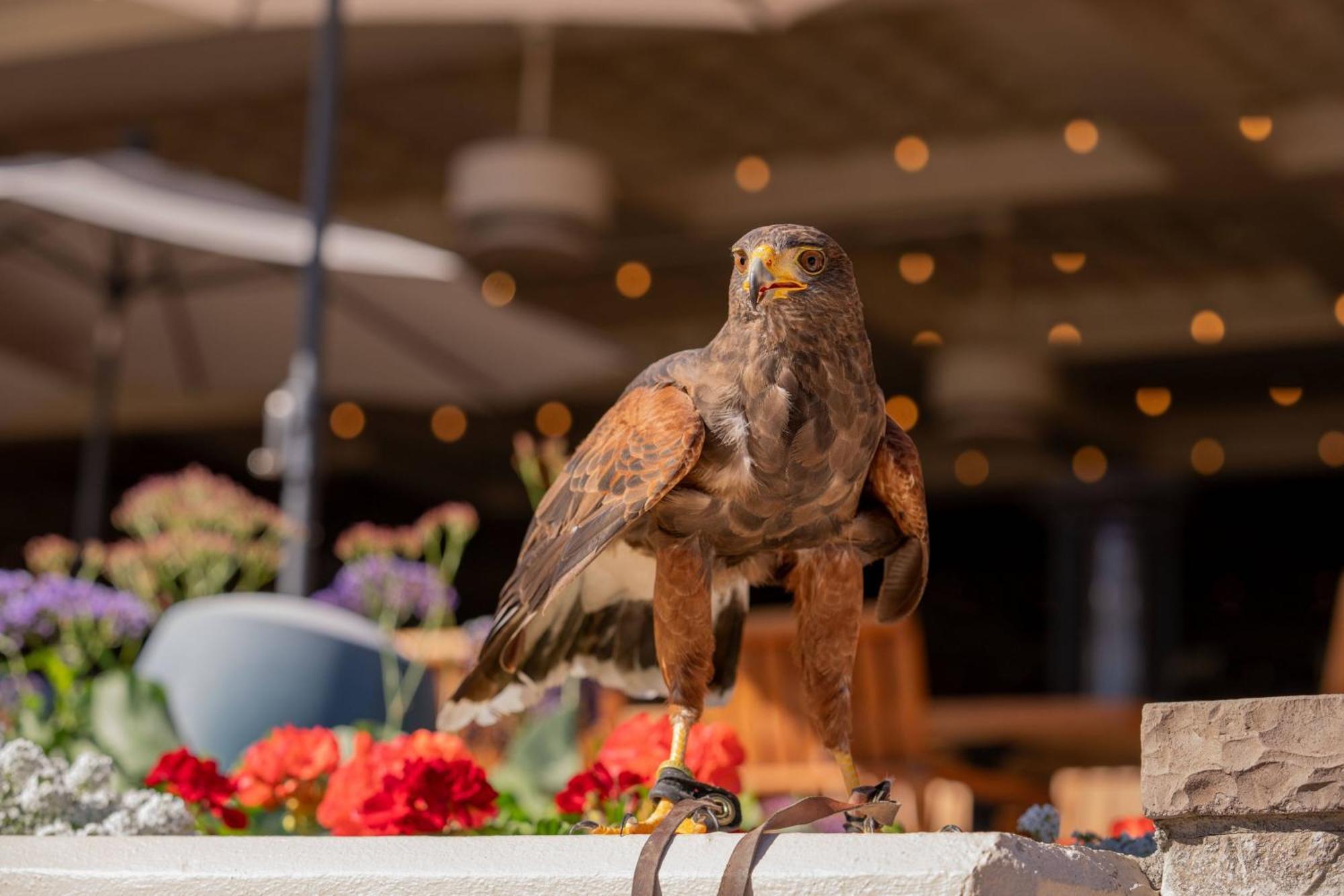 The Phoenician, A Luxury Collection Resort, Scottsdale Extérieur photo